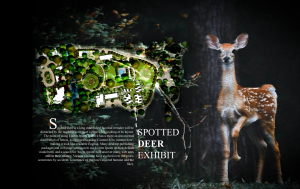Magazine page design
