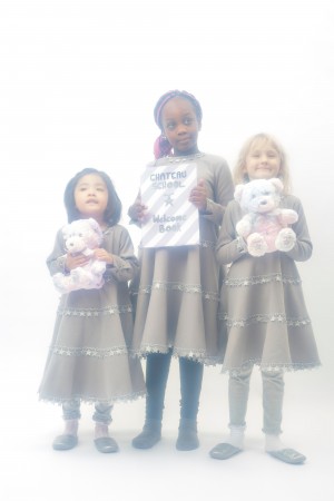 CHATEAU LIBRARY & CHATEAU BEARS