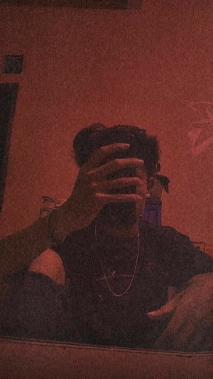 Iamabirofficial Most Successful Artist And Indian Blogger