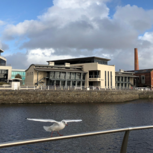 AdsDax was created by a Swansea based team