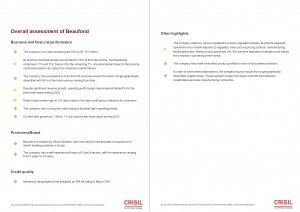 FINAL S P REPORT BAUFOND PLC page 0003 0004