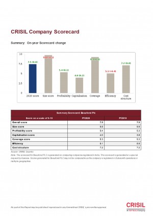 FINAL S P REPORT BAUFOND PLC page 0012