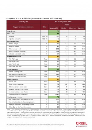 FINAL S P REPORT BAUFOND PLC page 0013