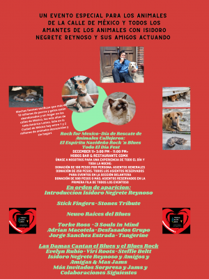 The Spirit of Christmas Dec 11 Dec 2 Update