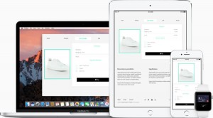 moolah online main 900x496