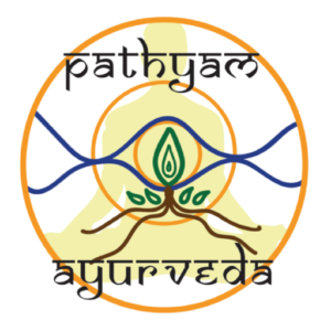 cropped cropped cropped PA logo 1 300x300