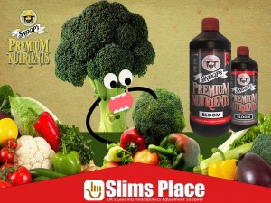Snoops Premium Nutrients Bloom A&B