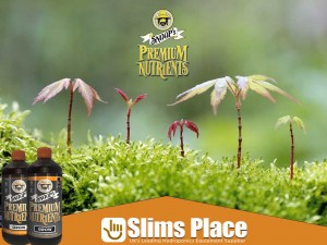 Snoops Premium Nutrients Grow A&B