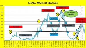 Number of New Cases - Country Level - Inception to Sept 24, 2021