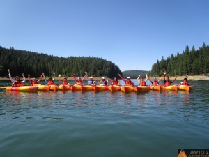 credit: Avid4 Adventure