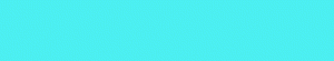 Footer