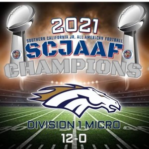 SCJAAF Micro D1 Super Bowl Trophy