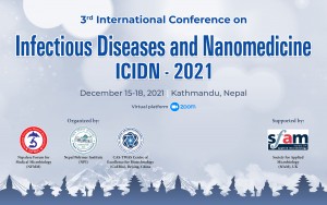 ICIDN2021 Banner