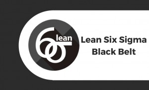 lean six sigma black belt
