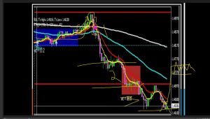 Trade Like Market Maker Forex Trader