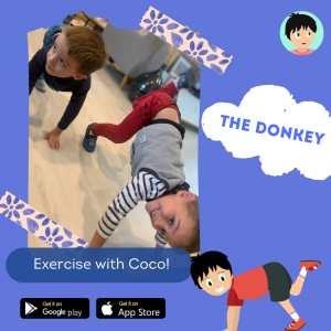 coco thinks and coco move