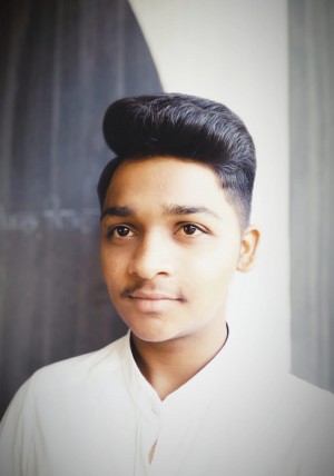 Pune to Goa film artist