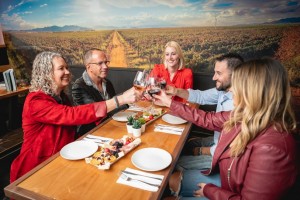 Arizona Stronghold Vineyard