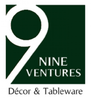 9 ventures logo