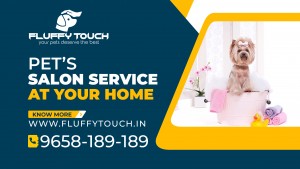 Fluffytouch pets salon services at home