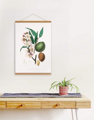 Almond Print, Jade Collection