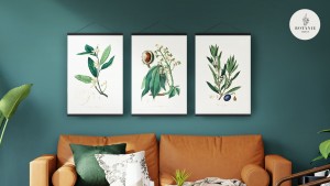 Botanie Press, Jade Collection