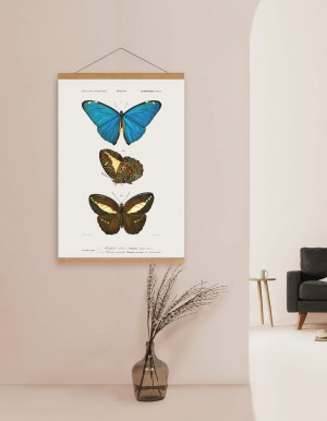 Butterfly Print, Jade Collection