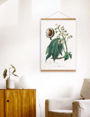 Chestnut Print, Jade Collection