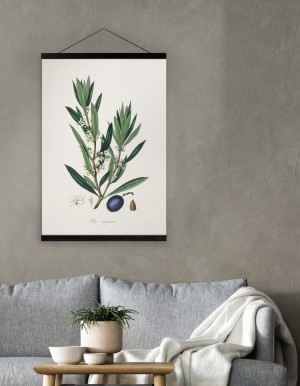 Olive Print, Jade Collection