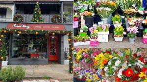 Introducing new flower collections at Susan Avery