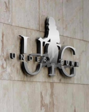 Under The Gunn University