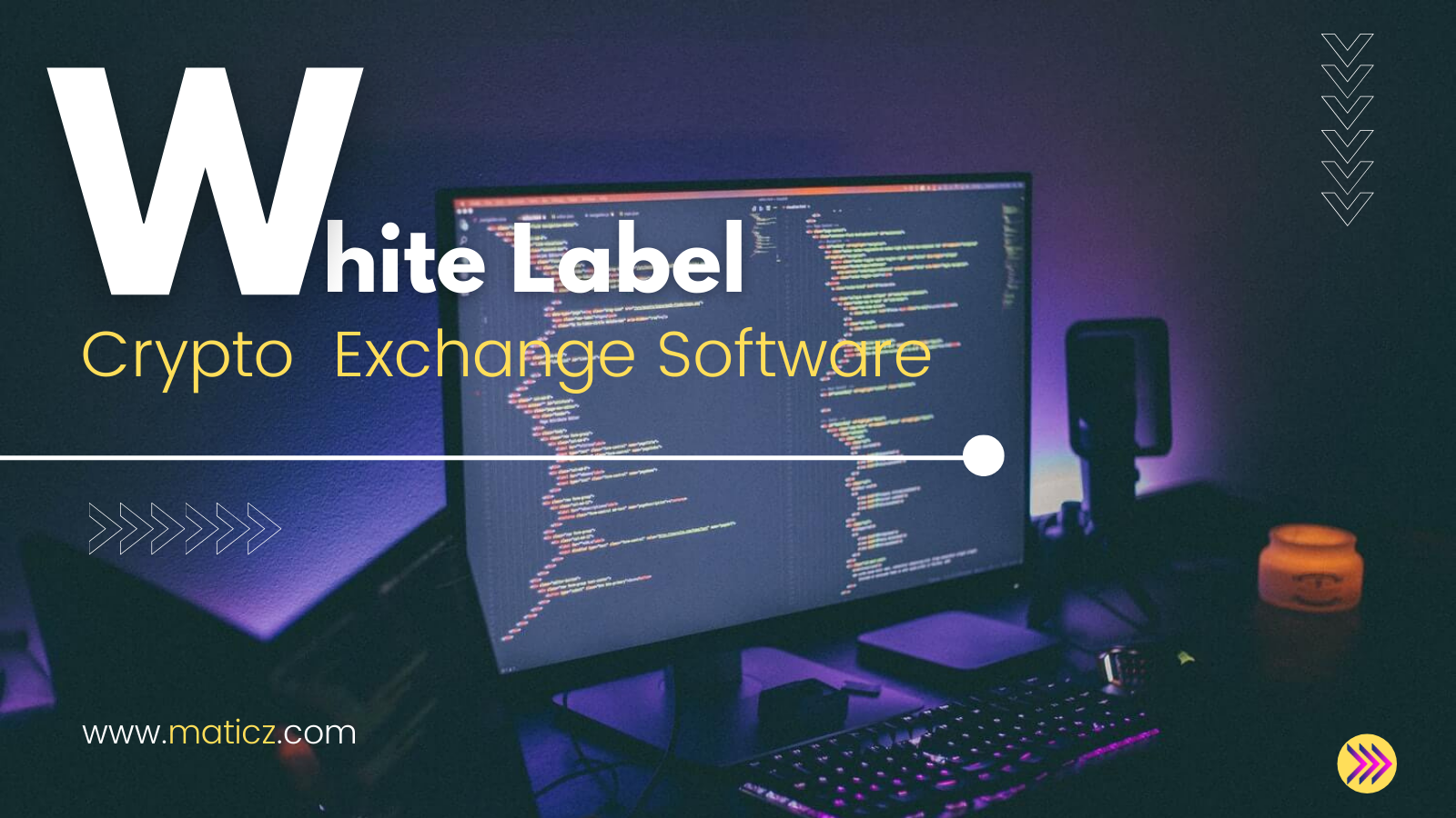 Maticz Provides White Label Crypto Exchange Software with Captivating