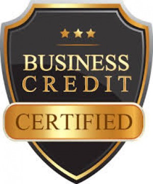 Certified Business Credit Consultant
