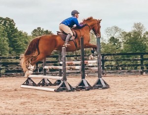 ORR receives $1000 FFA grant  from VALENT U.S.A. LLC to pursue AGRIBUSINESS SAE