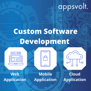 Custom Software Development