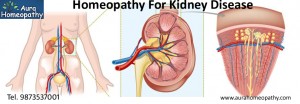 kidney doctor Delhi india copy