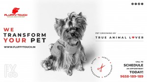 Fluffy Touch ads 3556 x 2000