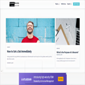 careerbands free advice 1