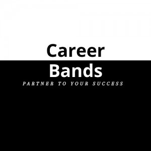Professtional career advice careerbands