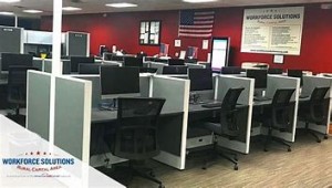 employment growth picture