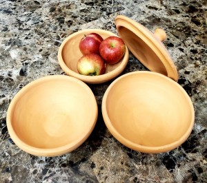 3 Bowls & a Lid Set