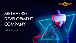 Metaverse Development Company