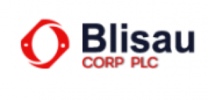 Start Your Business In Any State In The USA Without Any Hassle With Blisau Corp Plc