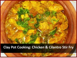 Chicken Cilantro Stir Fry in MEC