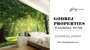 Godrej Wagholi flats