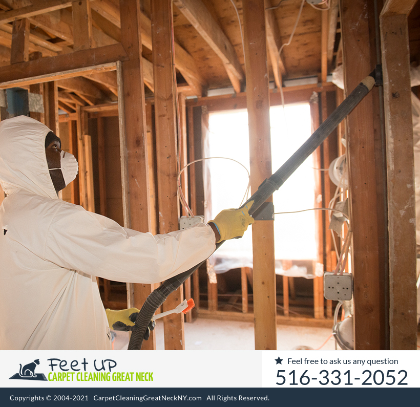 Feet Up Carpet Cleaning Great Neck is now offering mold remediation