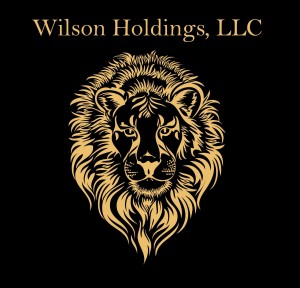 Wilson Holdings Logo