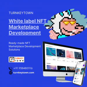 White label NFT Marketplace Development