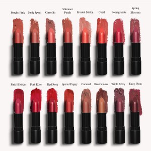 Lipstick allswatch copy