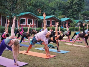 yoga teacher training school